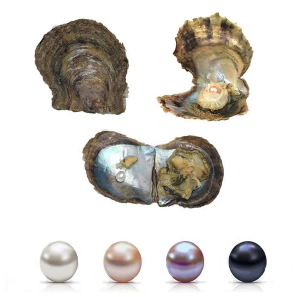 Hidden Gems Enchanted Pearl - Image 18