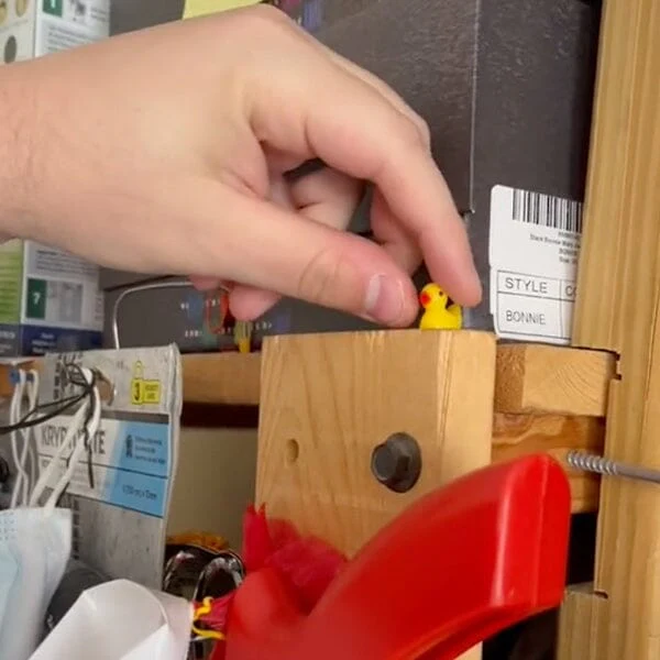 Hide-A-Duck! (100pc) Tiny Ducks To Prank Your Friends With! - Image 8