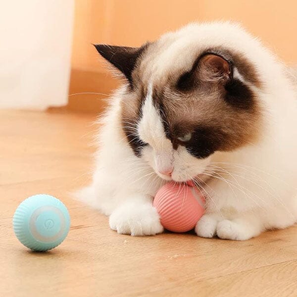 WhirlCatty: The Magic Ball Cat Toy | As Seen On TikTok! - Image 3