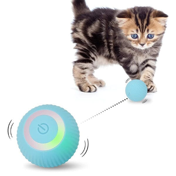 WhirlCatty: The Magic Ball Cat Toy | As Seen On TikTok! - Image 4